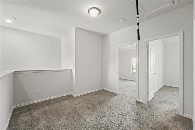 2317 Cortellia Street - Photo 14