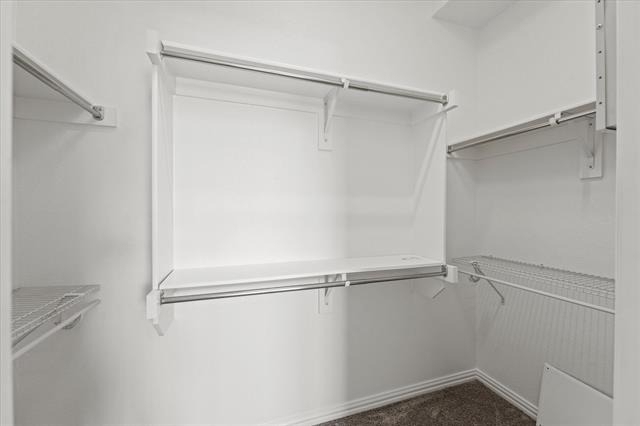2317 Cortellia Street - Photo 18