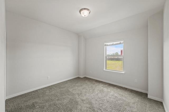 2317 Cortellia Street - Photo 22