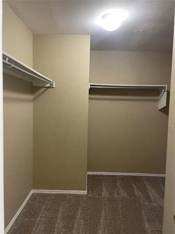 8908 Wagon Trail - Photo 20