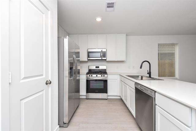 29023 Pearl Barley Way - Photo 9