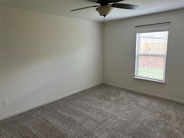 13624 Mineral Road - Photo 14
