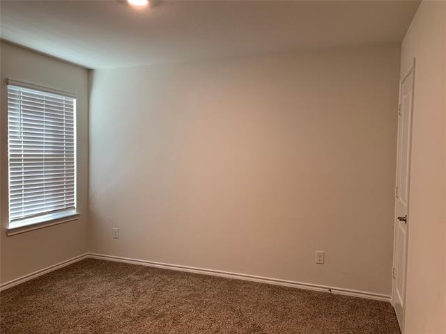 123 Easy Goer Trail - Photo 16