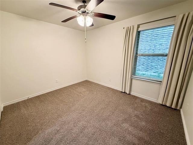 4162 Rim Trail - Photo 10