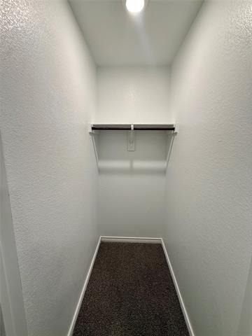 4162 Rim Trail - Photo 3