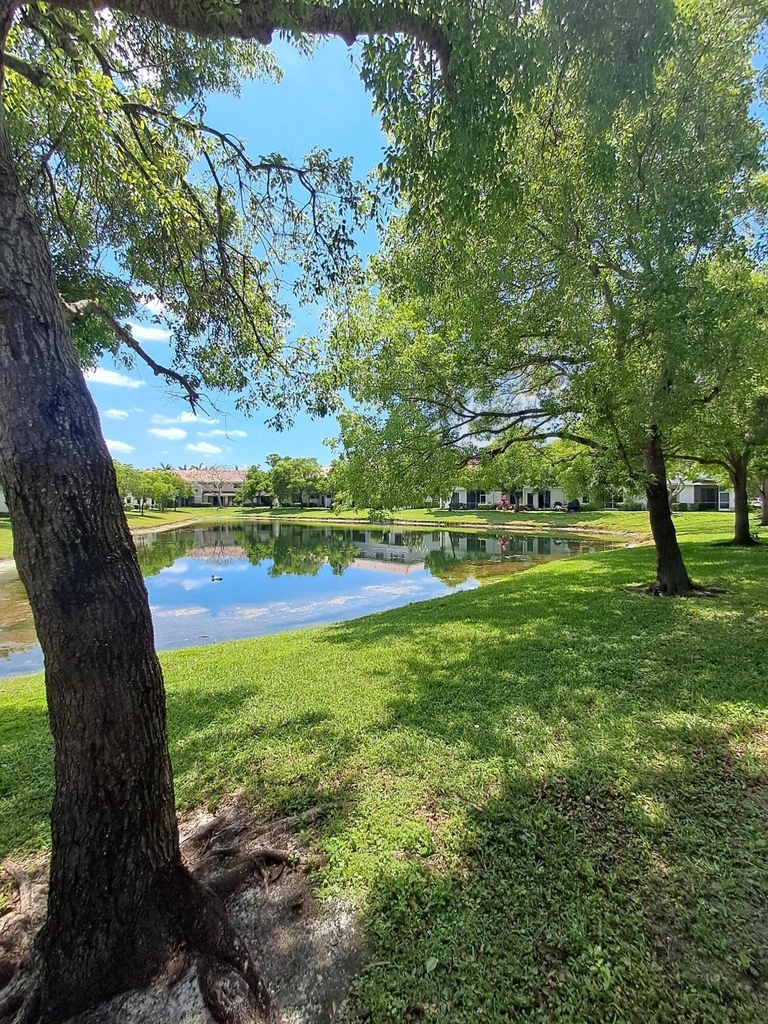 4219 Napoli Lake Drive - Photo 11
