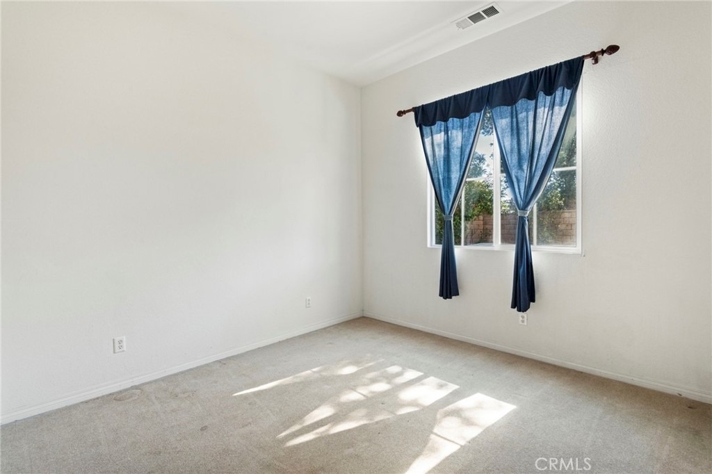 39161 Shree Road - Photo 19