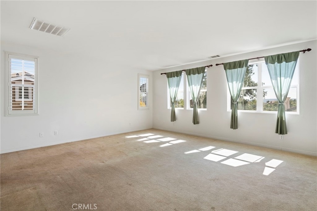 39161 Shree Road - Photo 24