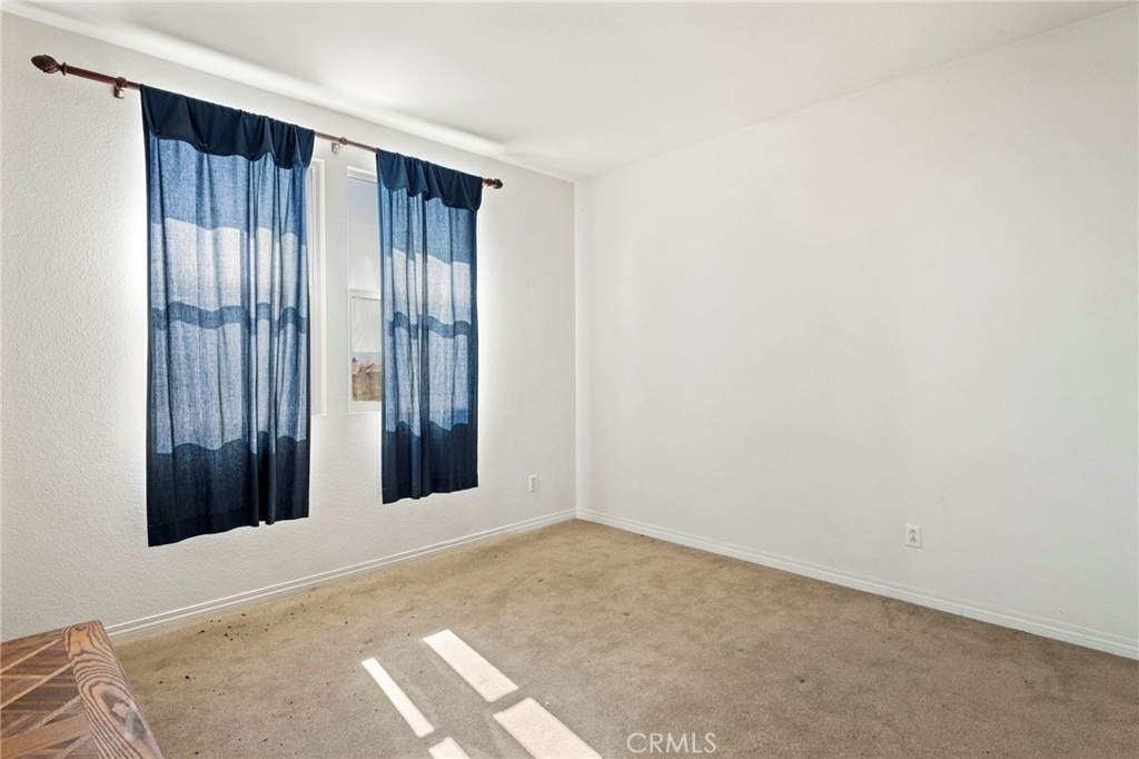 39161 Shree Road - Photo 30