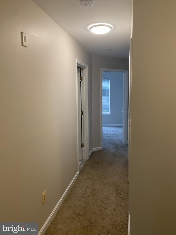 1536 Northern Neck Drive - Photo 20