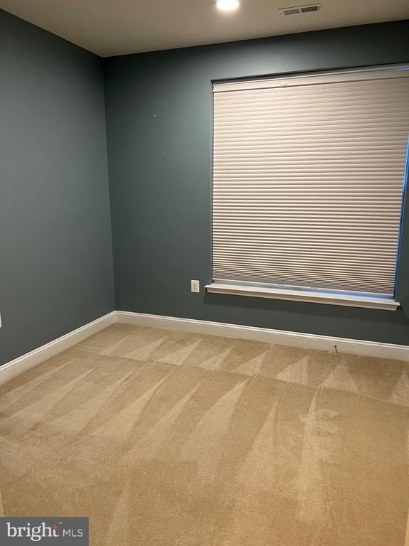 3910 Doc Berlin Drive - Photo 7