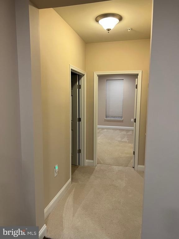 3910 Doc Berlin Drive - Photo 8