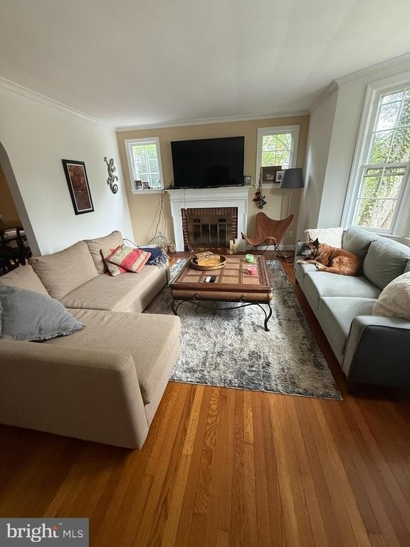 4610 Morgan Drive - Photo 3