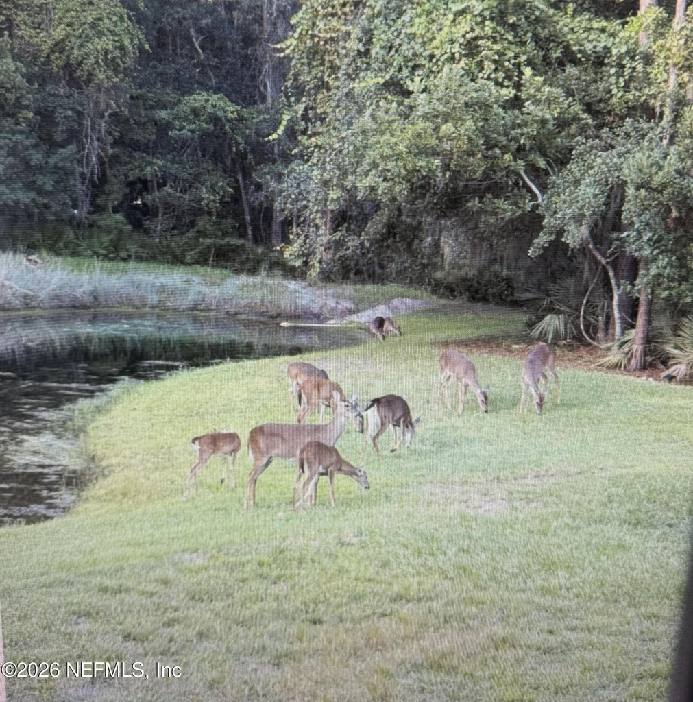187 Lige Branch Lane - Photo 19