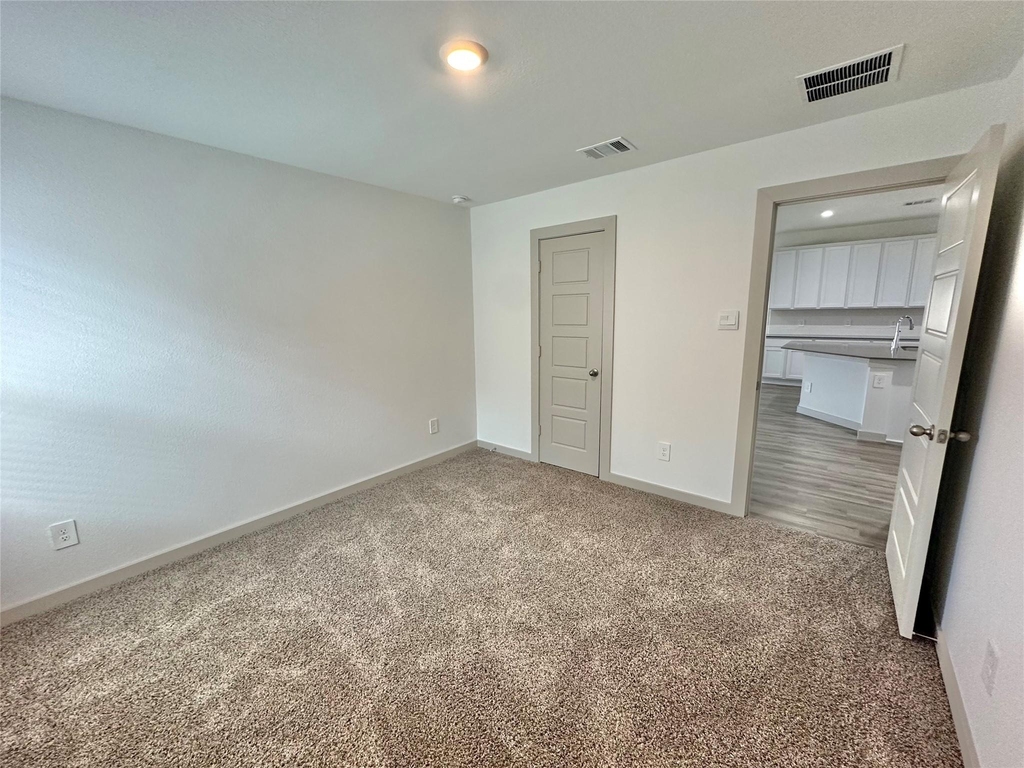 1107 Curly Angora Court - Photo 23