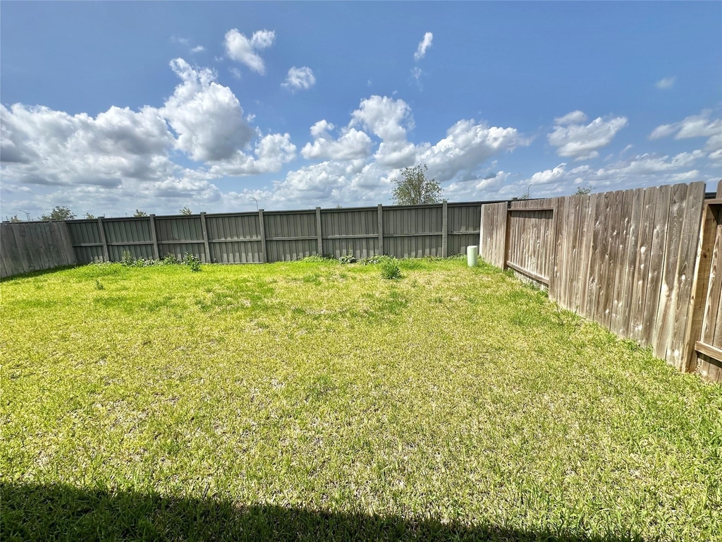 1107 Curly Angora Court - Photo 41