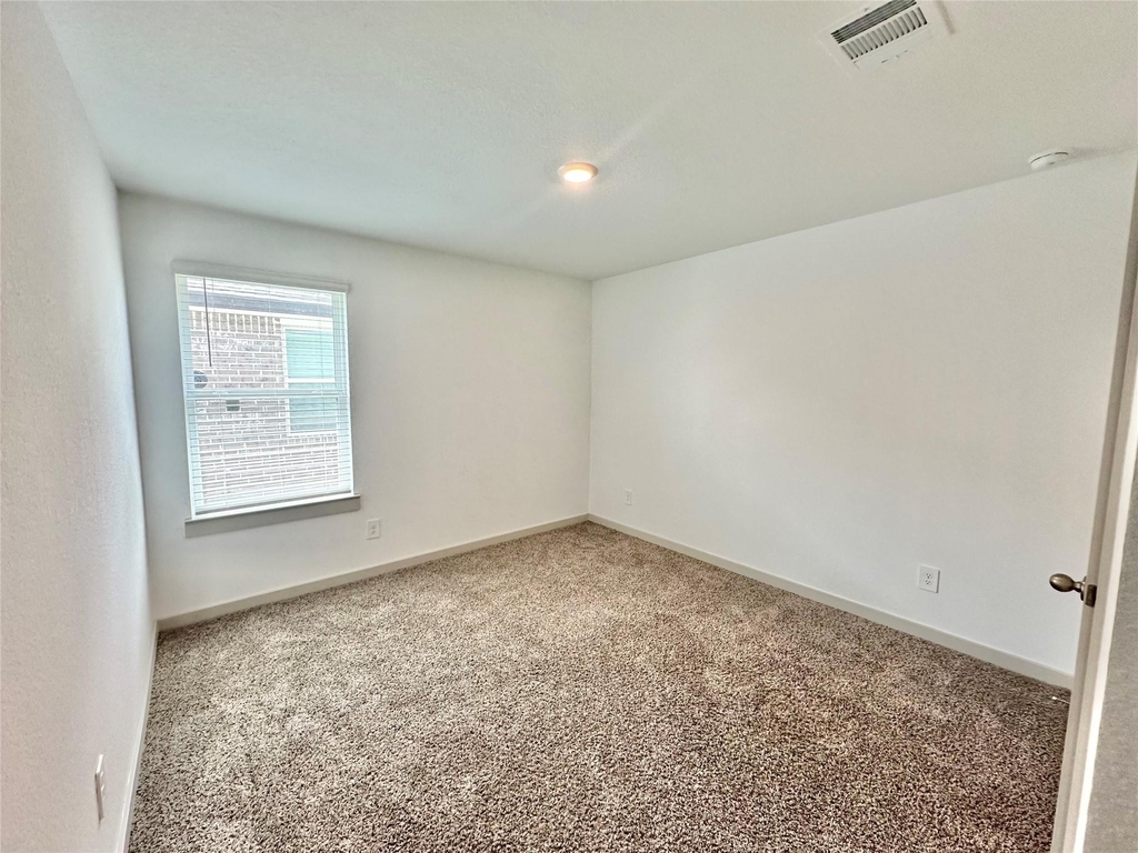 1107 Curly Angora Court - Photo 17