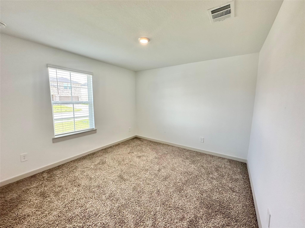 1107 Curly Angora Court - Photo 12