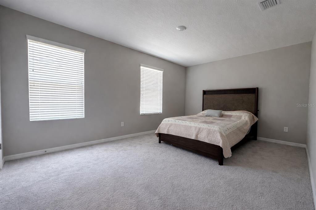 33546 Darley Dale Trail - Photo 4