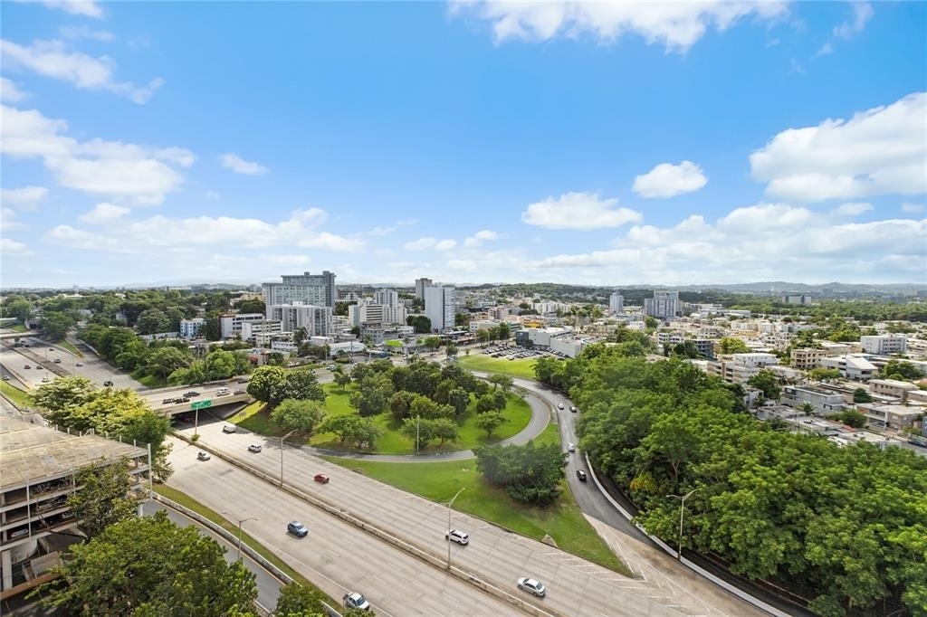 200 Hato Rey Plaza Ave. Jesus T. Pineiro - Photo 32