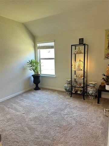 1313 Forest Haven Drive - Photo 11