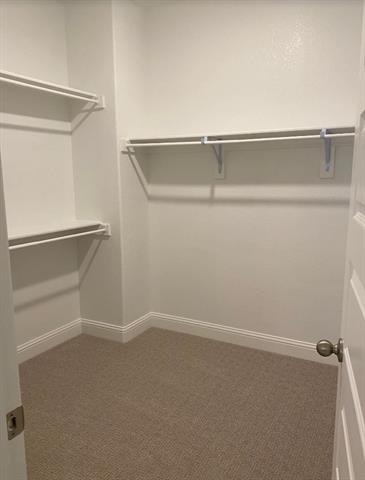 7833 Sunset Boulevard - Photo 14