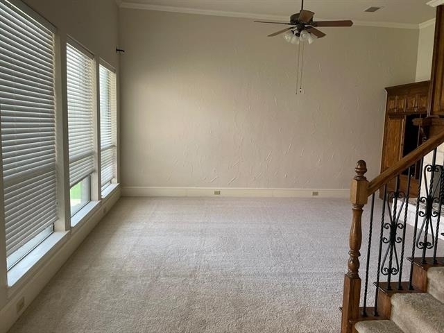 4419 Donegal Drive - Photo 3