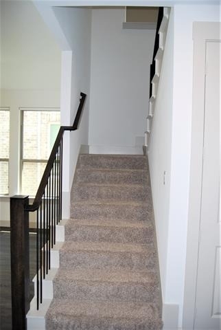 2133 Bonnell Street - Photo 16