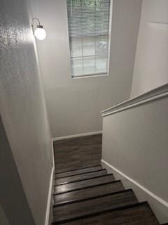 7916 Rice Drive - Photo 9
