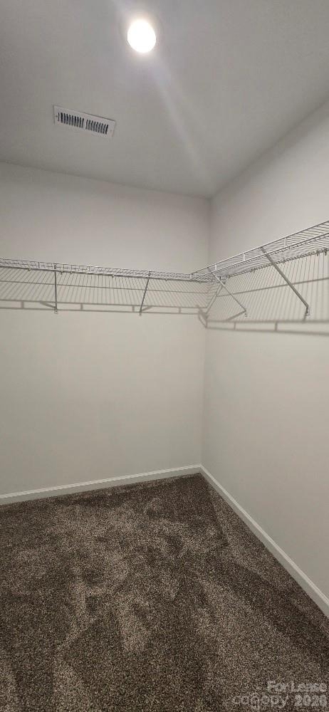 13033 Garren View Lane - Photo 14