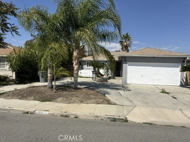 419 Angela - Photo 0