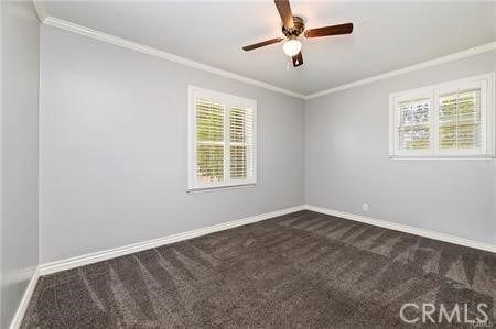 823 Filbert - Photo 6