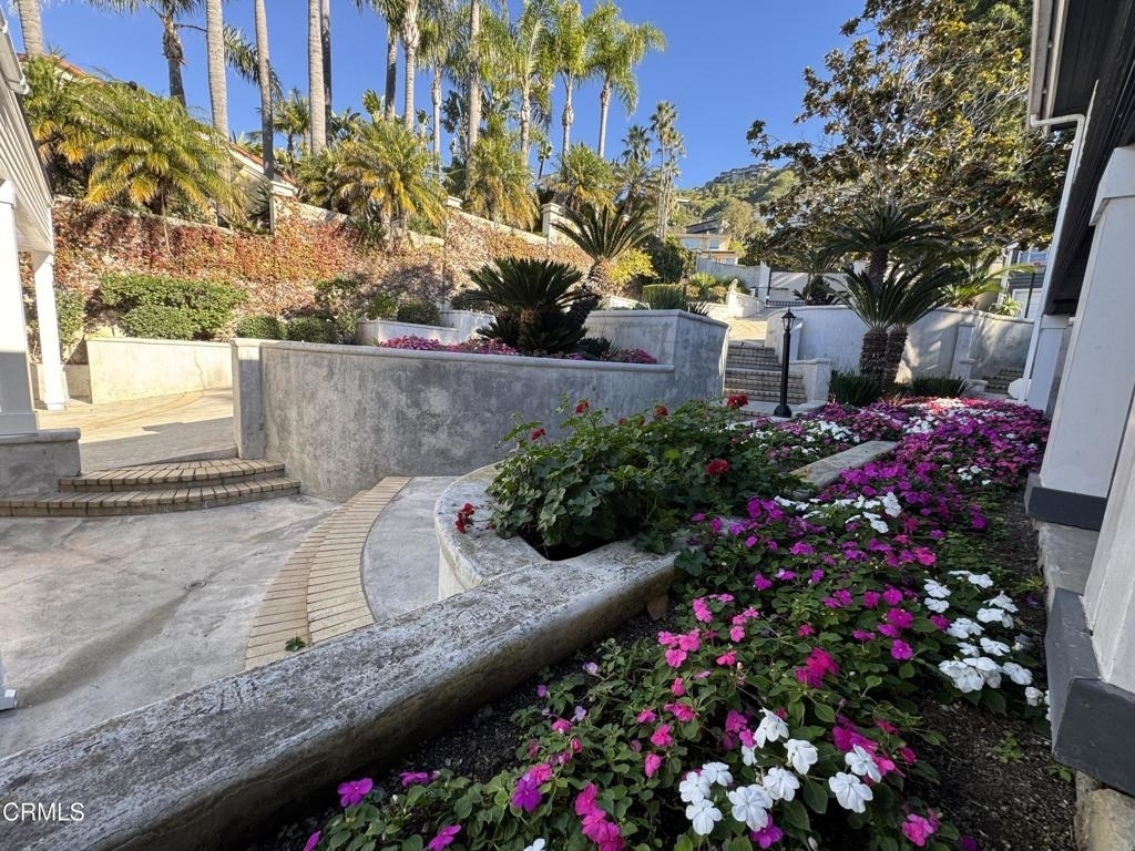 32175 S Coast Highway - Photo 12
