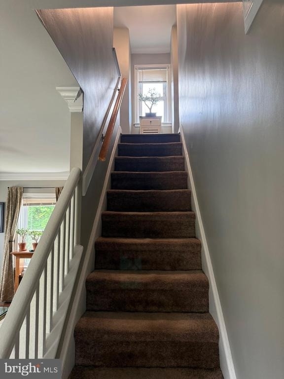1412 Cherry Lane - Photo 8