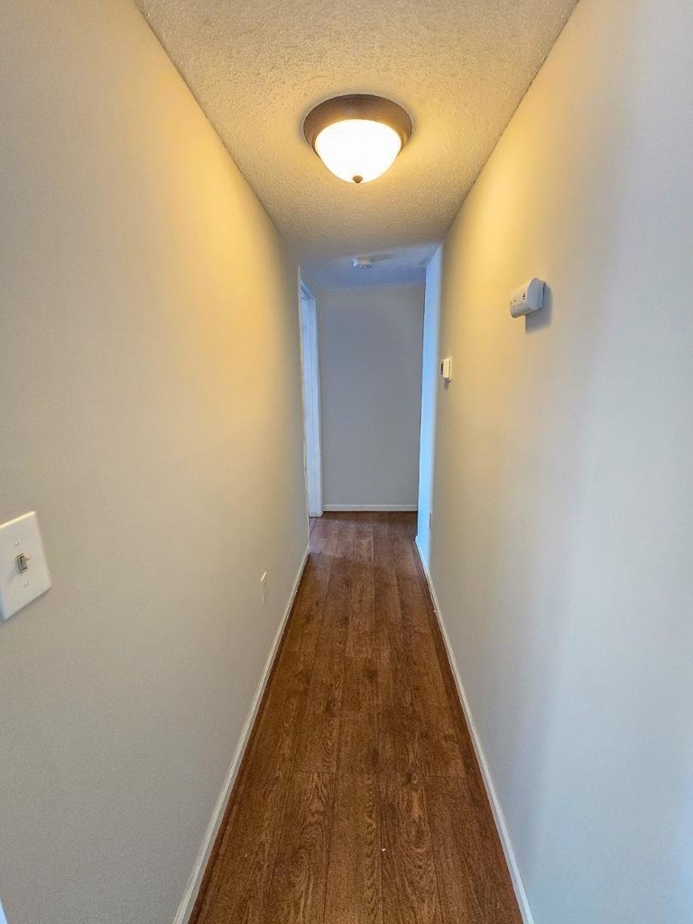 1300 Hillbrow Lane - Photo 14