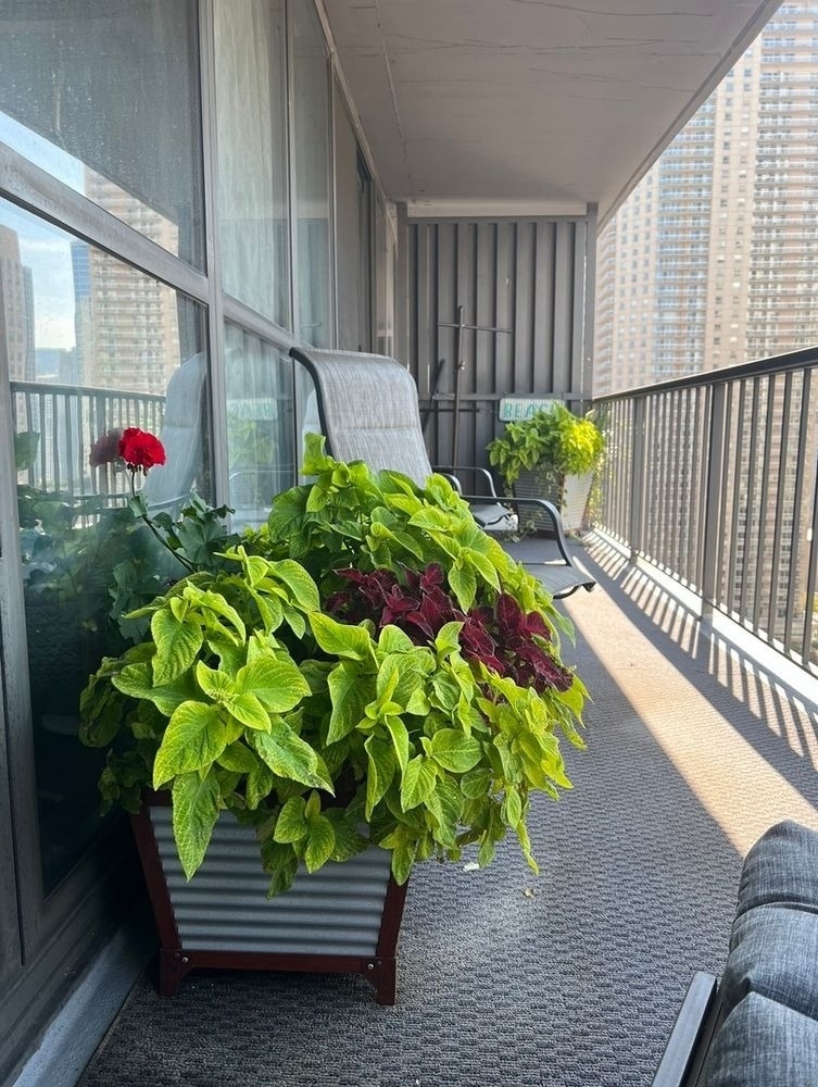 10 E Ontario Street - Photo 17