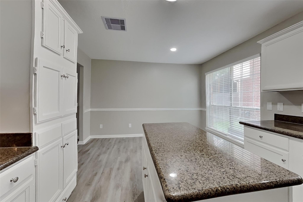 17902 Western Pass Lane - Photo 4