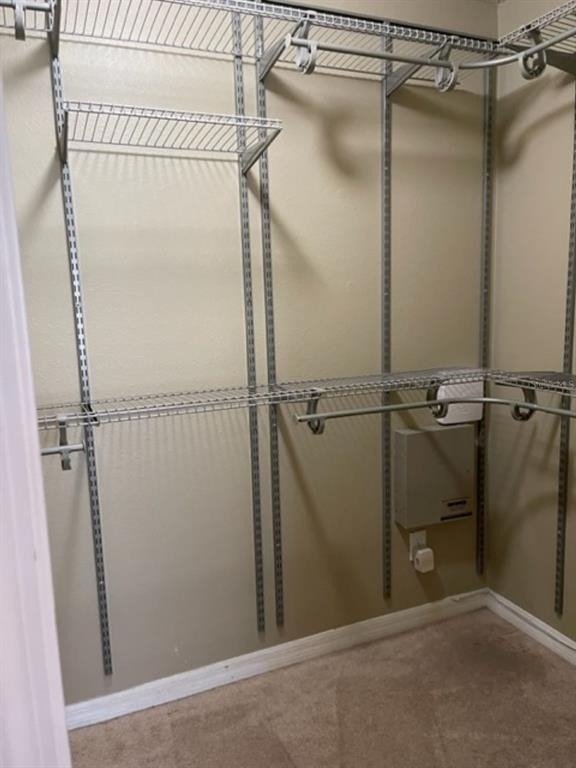 2950 Willowleaf Lane - Photo 16