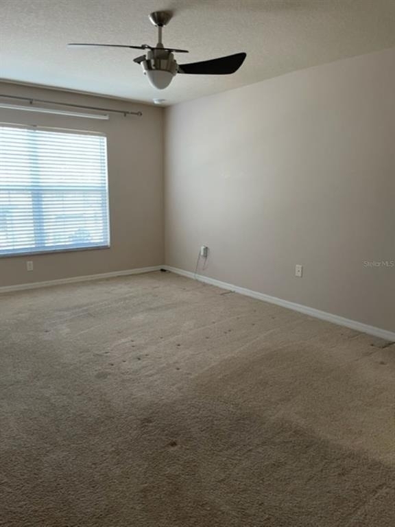 2950 Willowleaf Lane - Photo 12