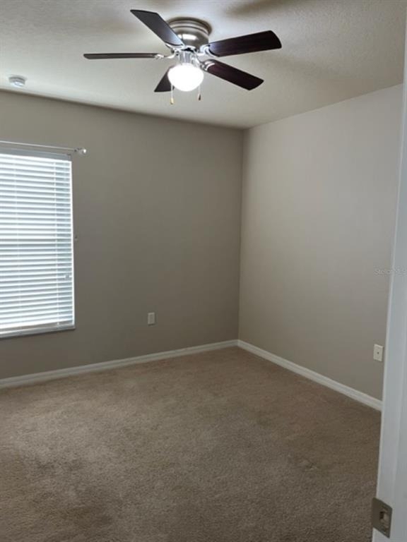 2950 Willowleaf Lane - Photo 18