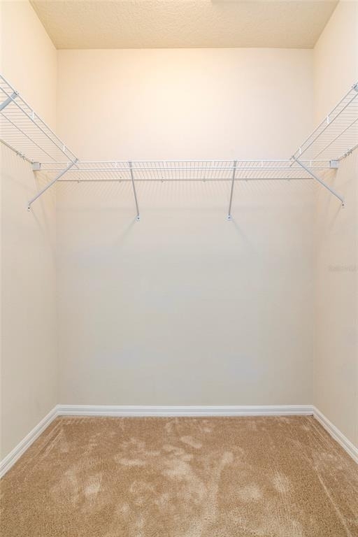417 Southern Pecan Circle - Photo 11