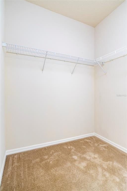417 Southern Pecan Circle - Photo 6