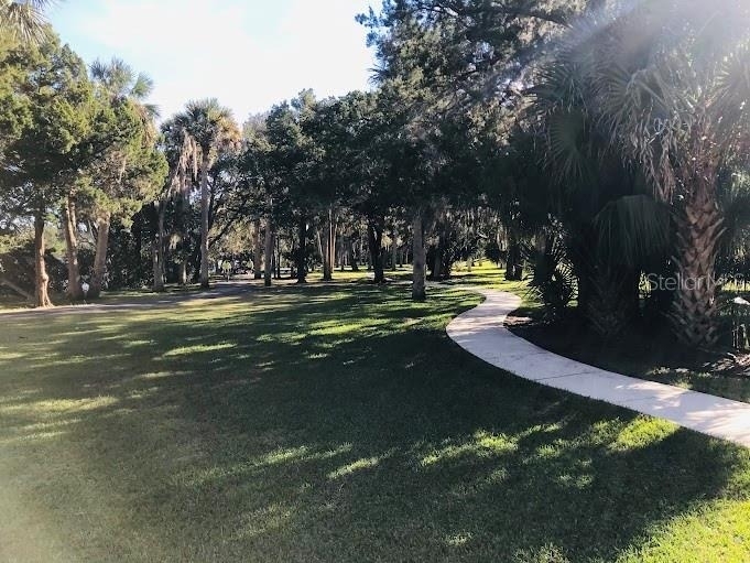 100 Palm Harbor Parkway - Photo 11