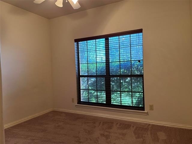 10625 Braewood Drive - Photo 13