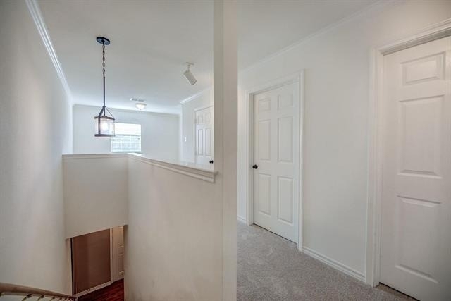 5855 Pecan Chase - Photo 20