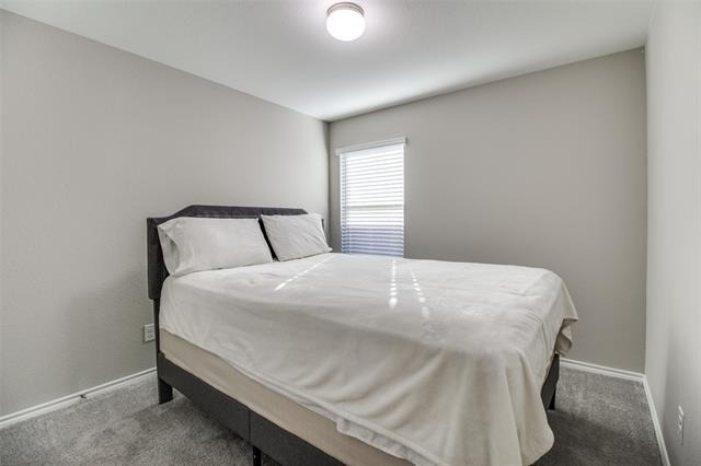 11441 Silver Queen Drive - Photo 10