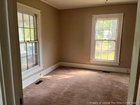 404 Mcgwigan Street - Photo 9