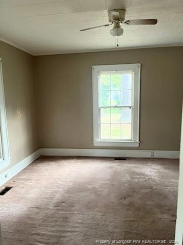 404 Mcgwigan Street - Photo 4