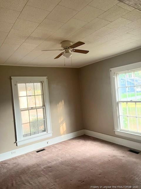 404 Mcgwigan Street - Photo 5