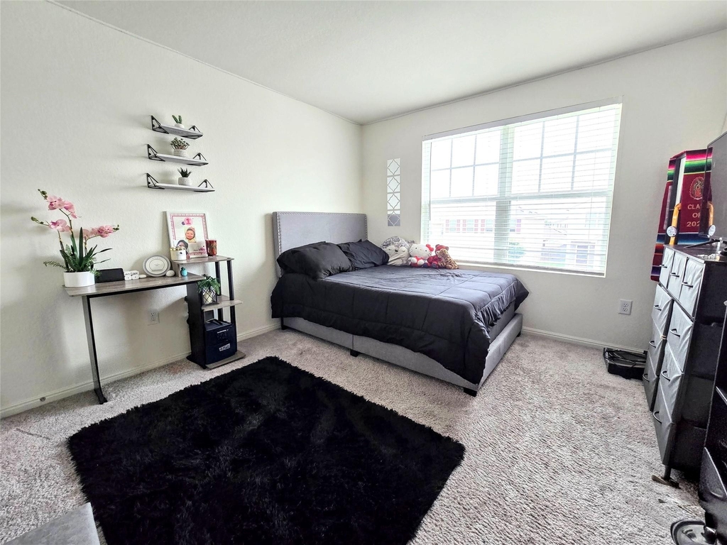 19506 Caymus Dr - Photo 14